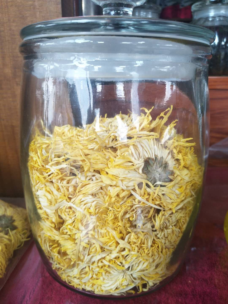 金丝皇菊