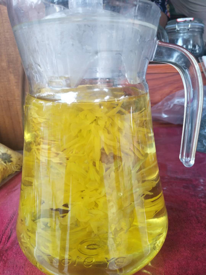 金丝皇菊