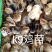 k9鸡苗