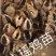 瑶鸡苗