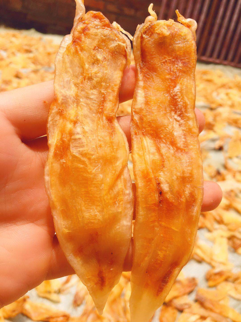 鱼胶（鳘鱼胶）