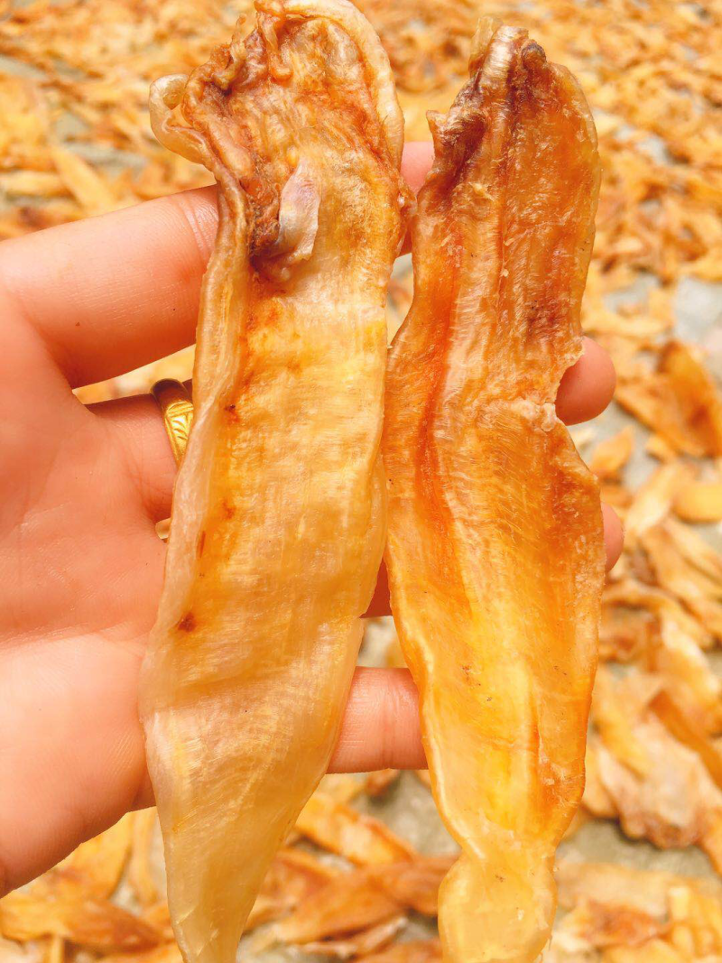 鱼胶（鳘鱼胶）