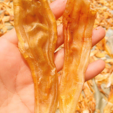 鱼胶（鳘鱼胶）