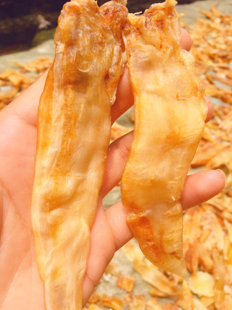 鱼胶（鳘鱼胶）