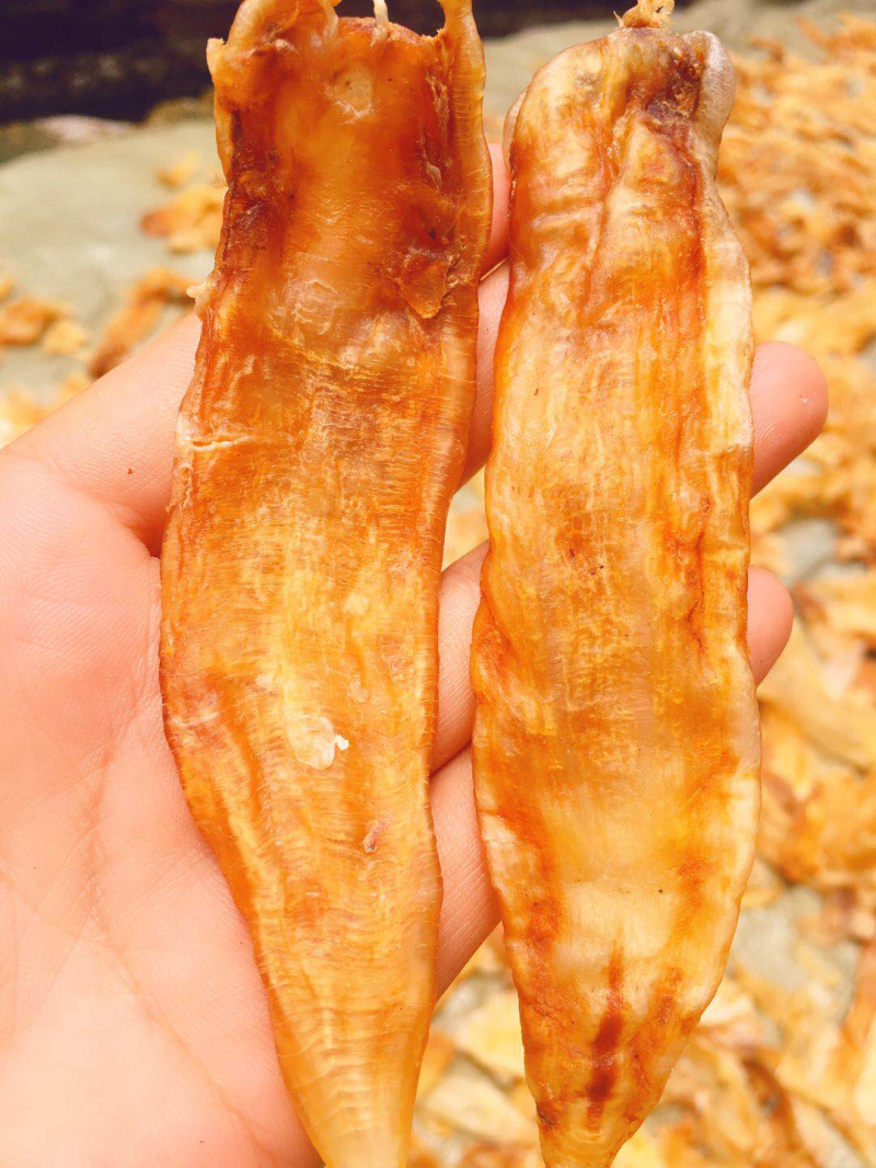 鱼胶（鳘鱼胶）