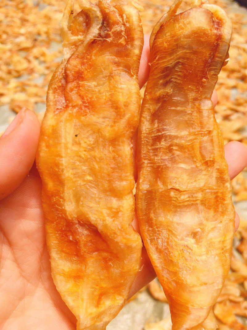 鱼胶（鳘鱼胶）