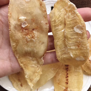 鱼胶花胶大口赤嘴