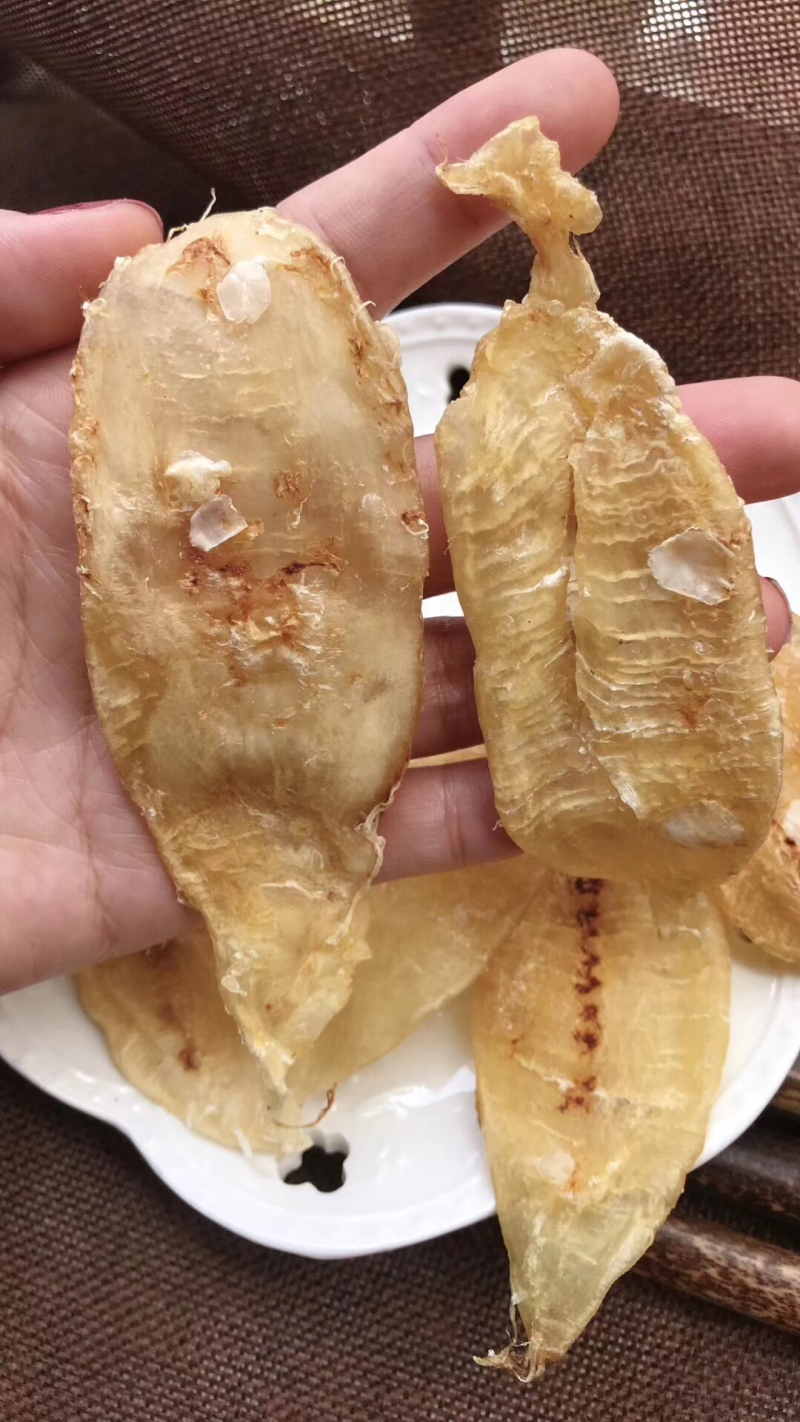 鱼胶花胶大口赤嘴