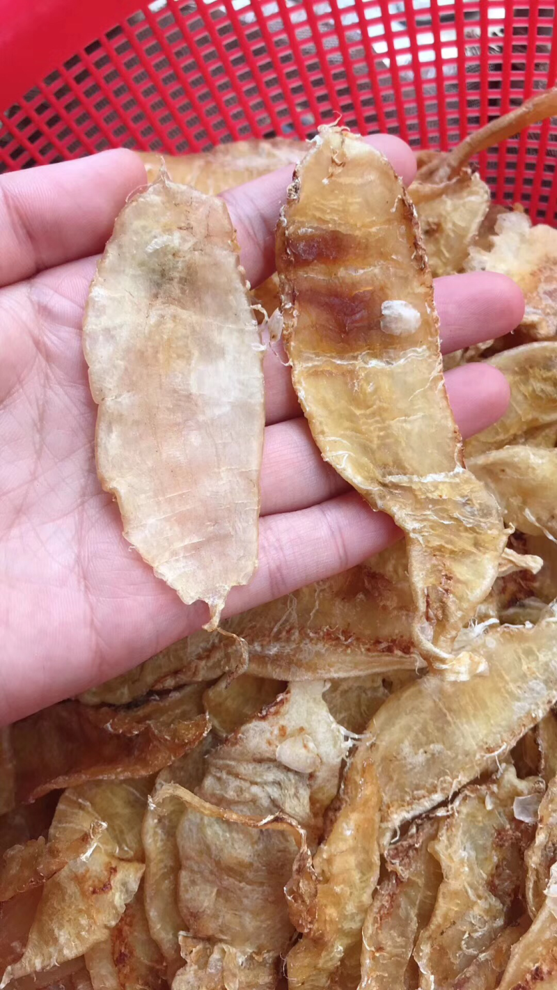 鱼胶花胶大口赤嘴