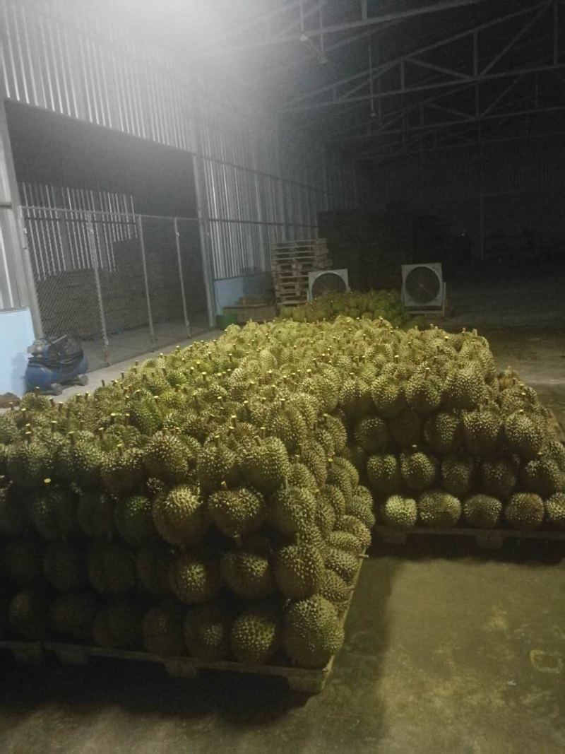 泰国金枕，精选榴莲，品质可靠