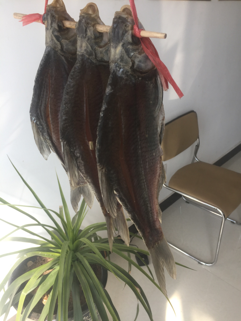 白鱼，青鱼，免桨鱼片