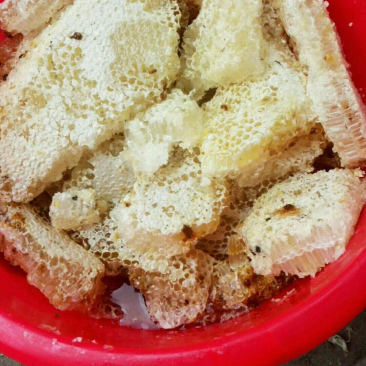 野生蜂蜜
