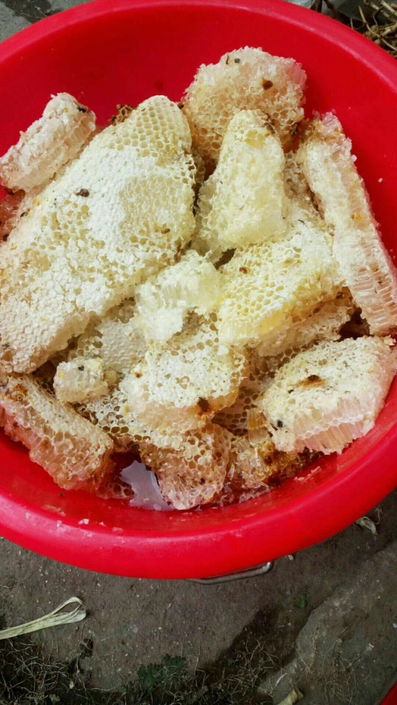 野生蜂蜜