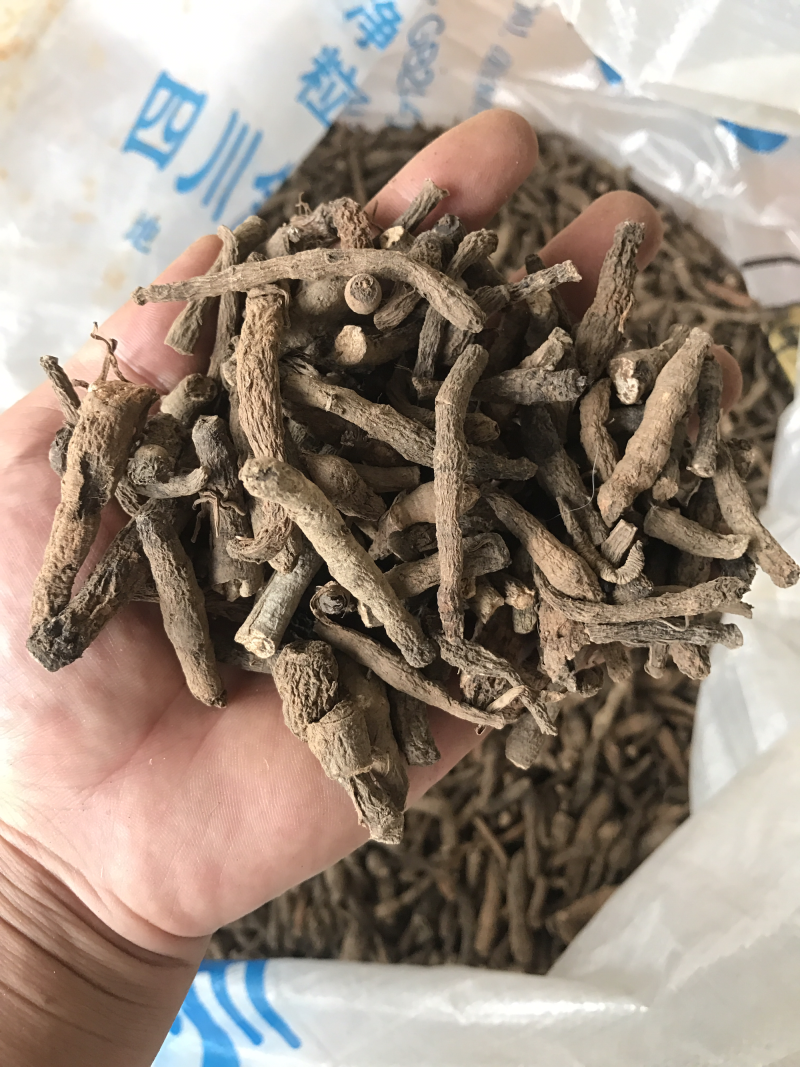仙茅