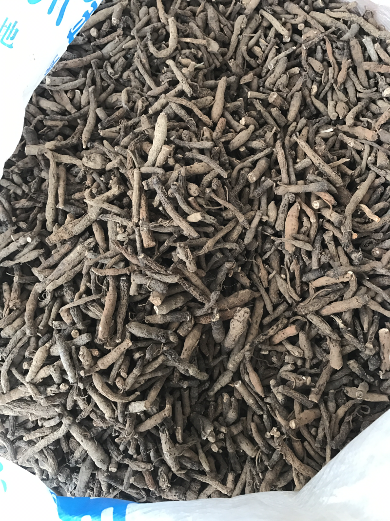 仙茅