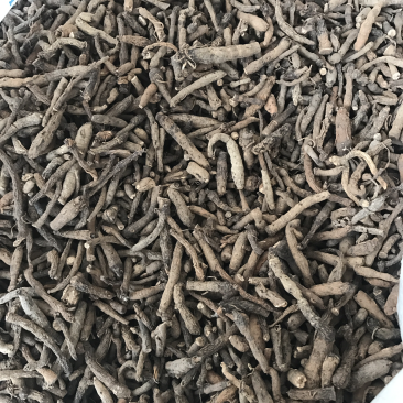 仙茅