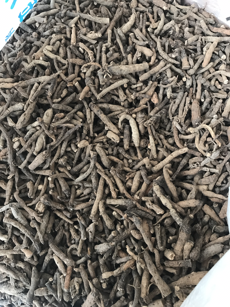 仙茅