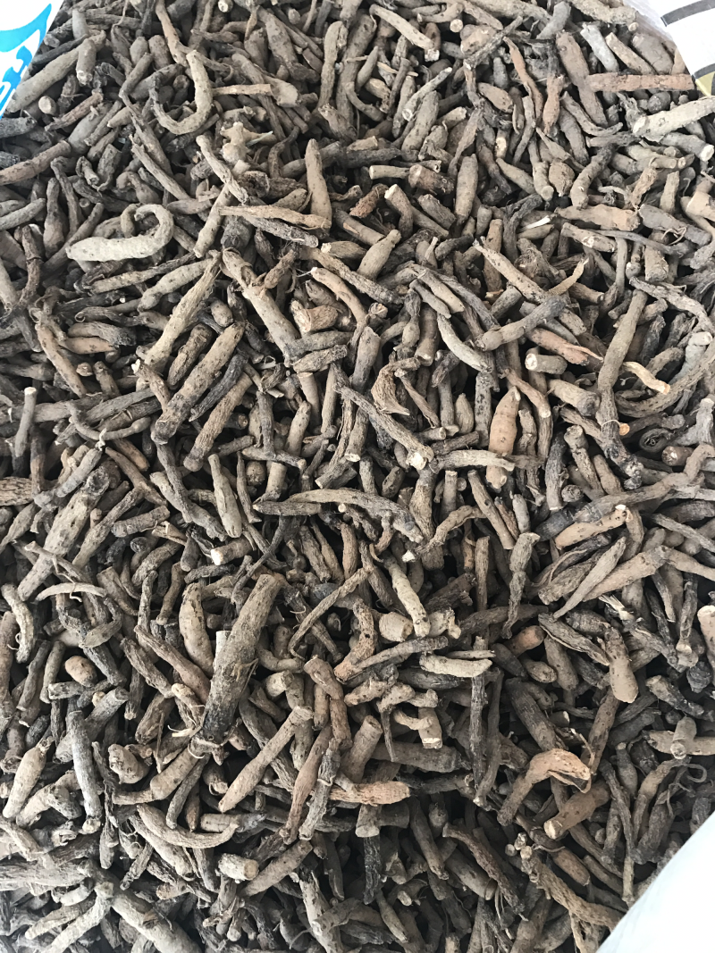 仙茅