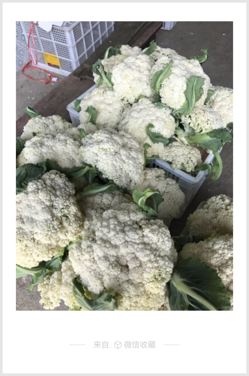 菜花