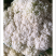 菜花