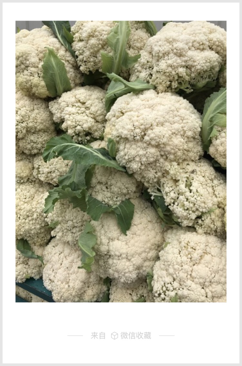 菜花