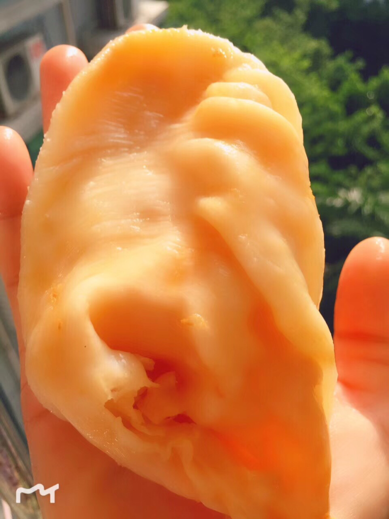 鱼胶花胶陈年特大鸡蛋胶