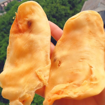 鱼胶花胶陈年特大鸡蛋胶