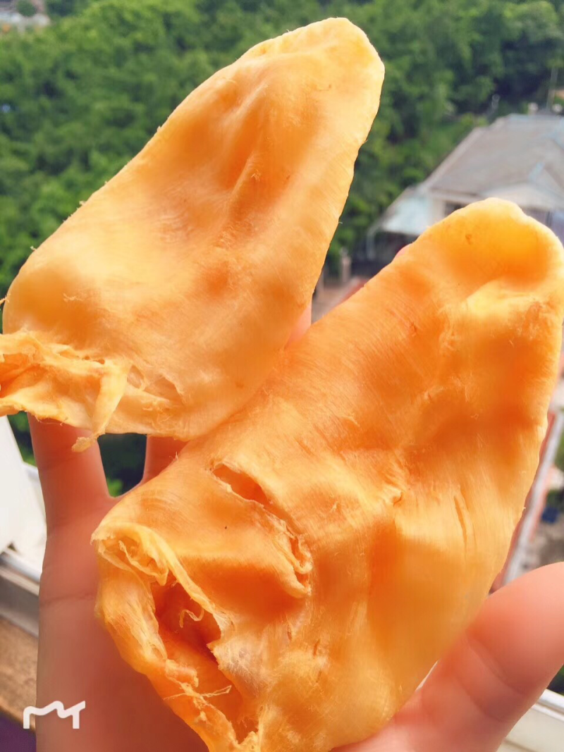 鱼胶花胶陈年特大鸡蛋胶