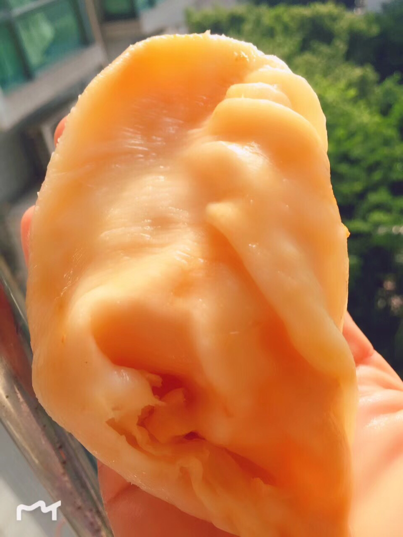 鱼胶花胶陈年特大鸡蛋胶