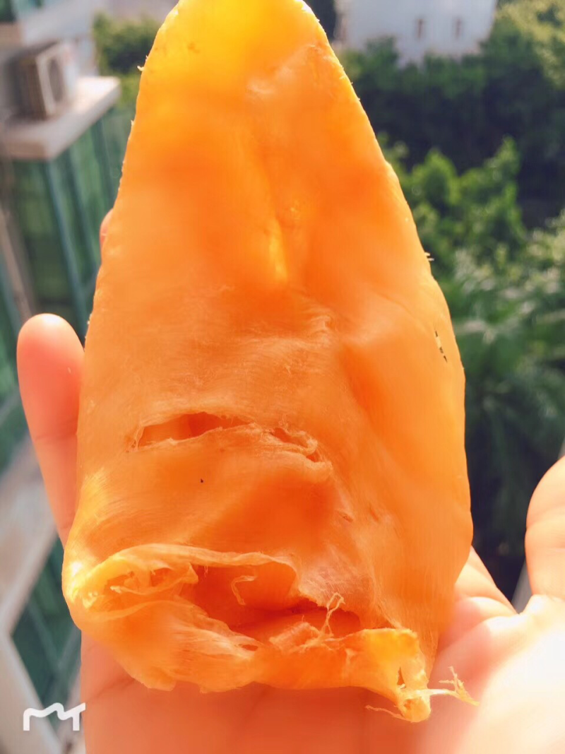 鱼胶花胶陈年特大鸡蛋胶