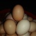 土鸡蛋食用50g以下
