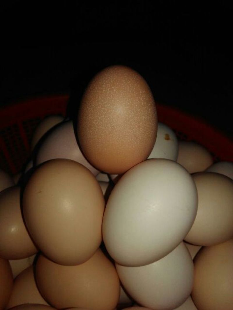 土鸡蛋食用50g以下