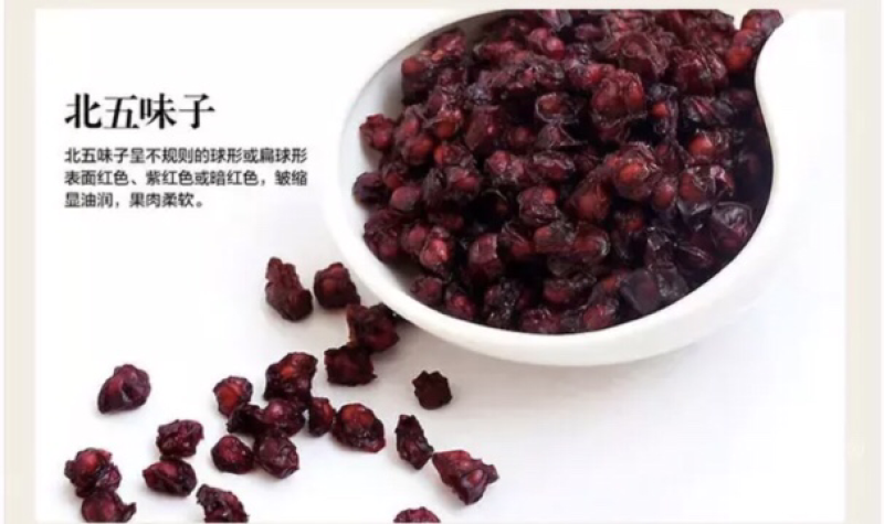 五味子苗