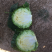 甘蓝