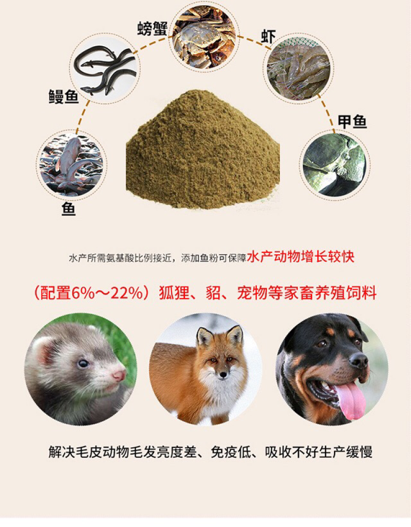 秘鲁鱼粉