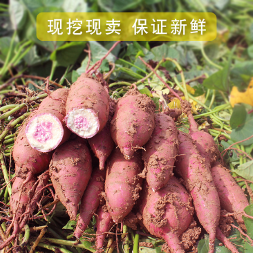 冰淇淋番薯产地直供，一件代发，供淘宝，天猫店