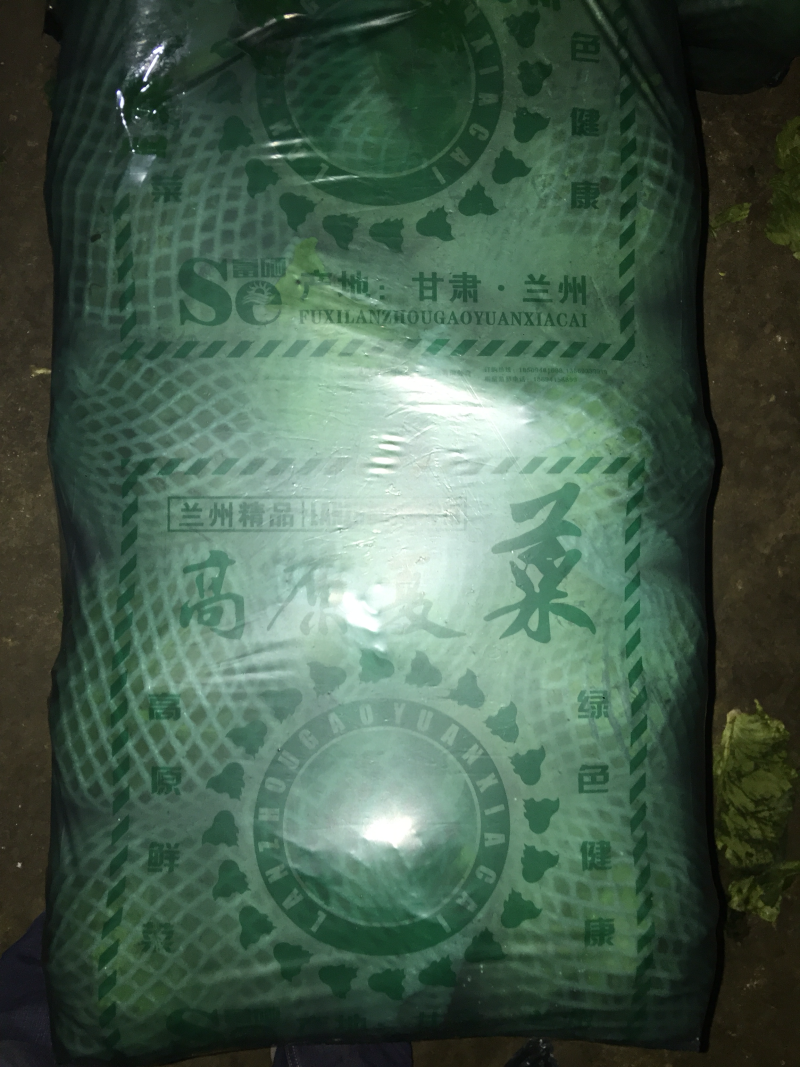 甘蓝