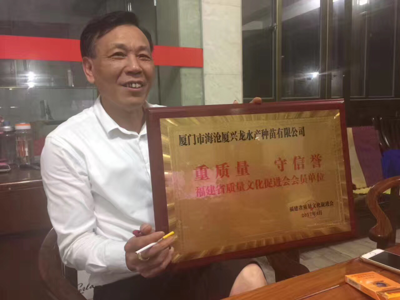 南美白对虾苗