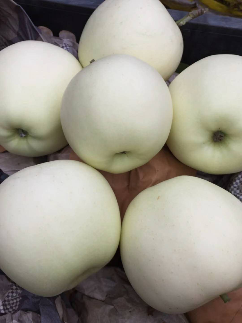 黄元帅