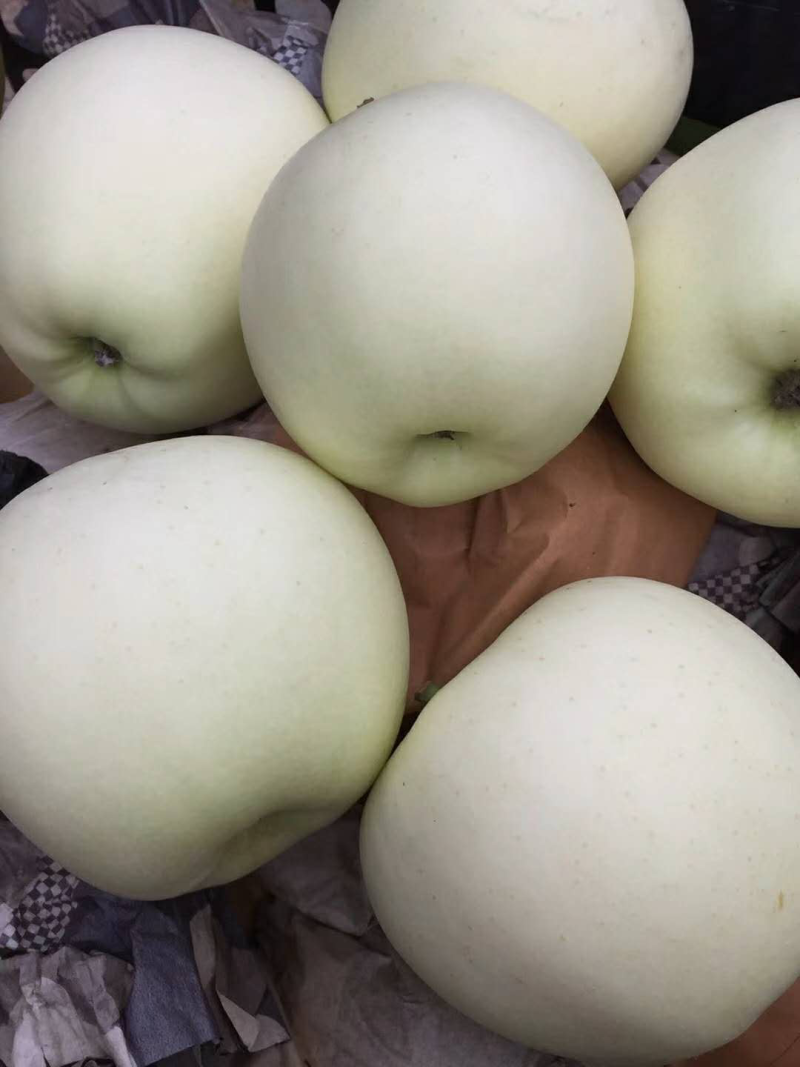 黄元帅