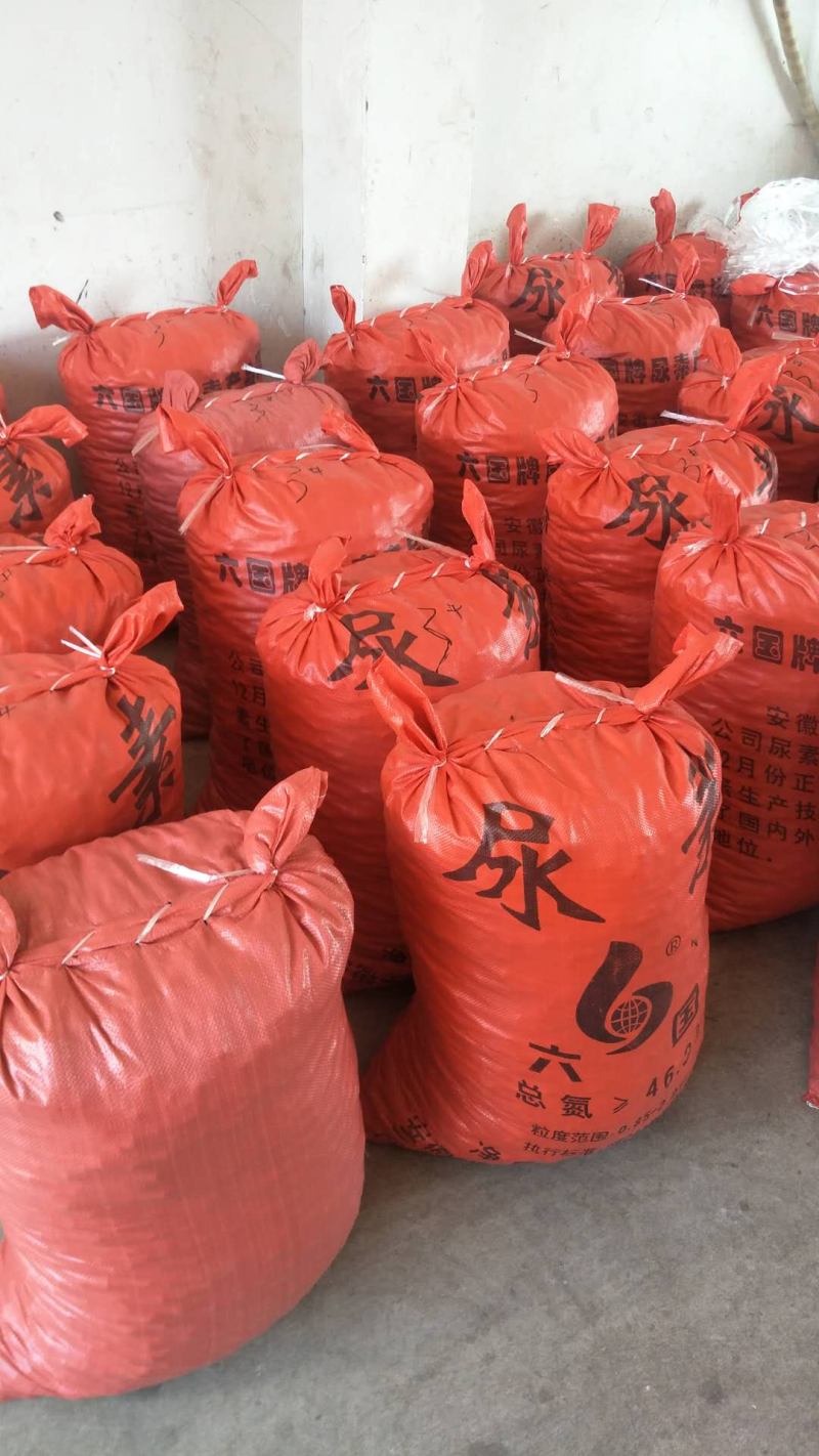 出售大量大别山板栗，各种规格，量大优惠