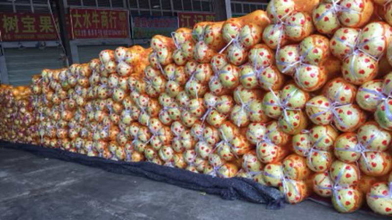 梅州蜜柚