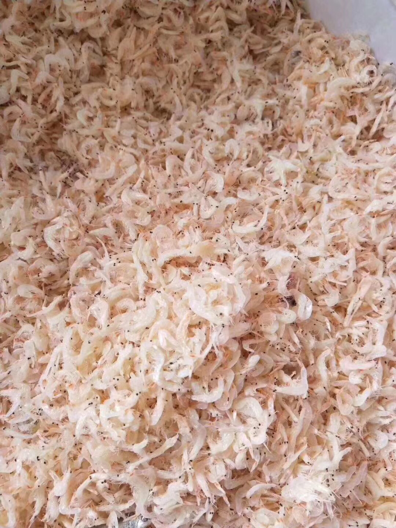 新鲜小虾皮