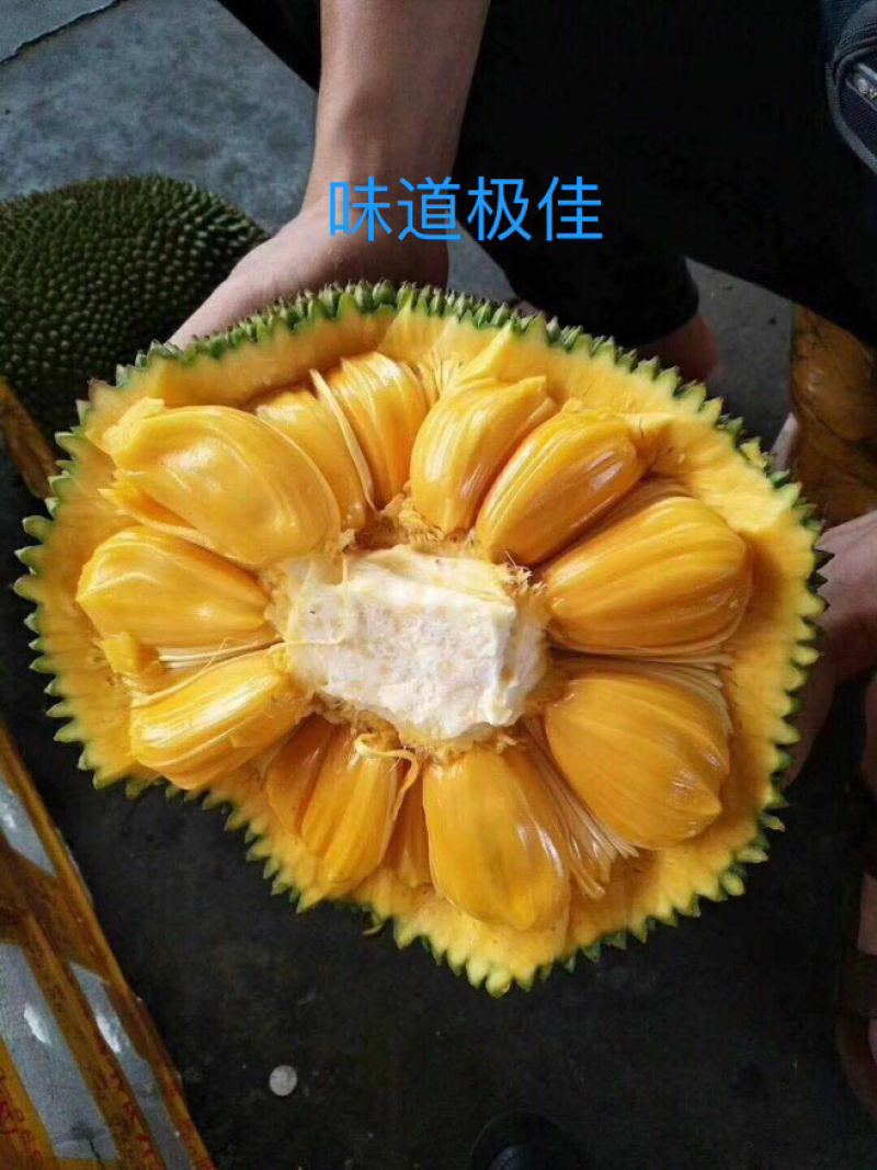 海南菠萝蜜，现摘现发，批量包邮，品质优良，满足需求！全国
