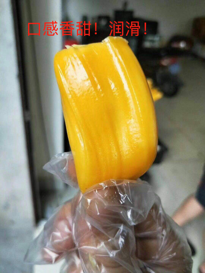 海南菠萝蜜，现摘现发，批量包邮，品质优良，满足需求！全国