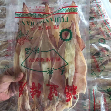超大鱿鱼母