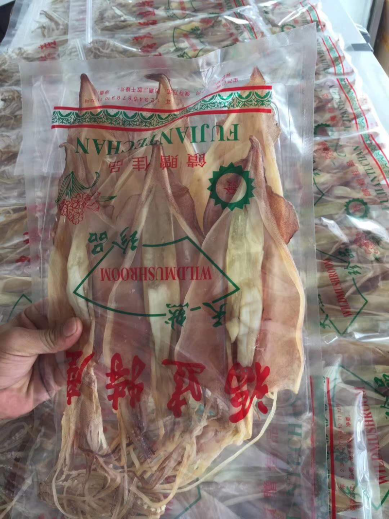 超大鱿鱼母