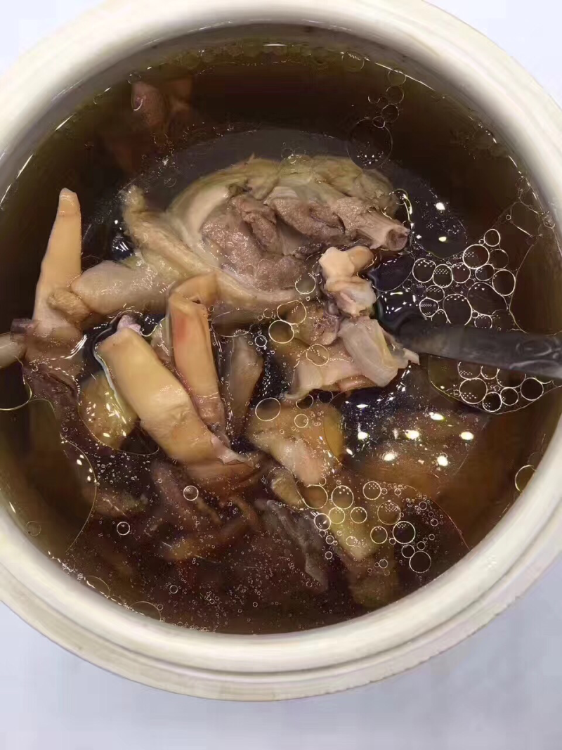 超大鱿鱼母