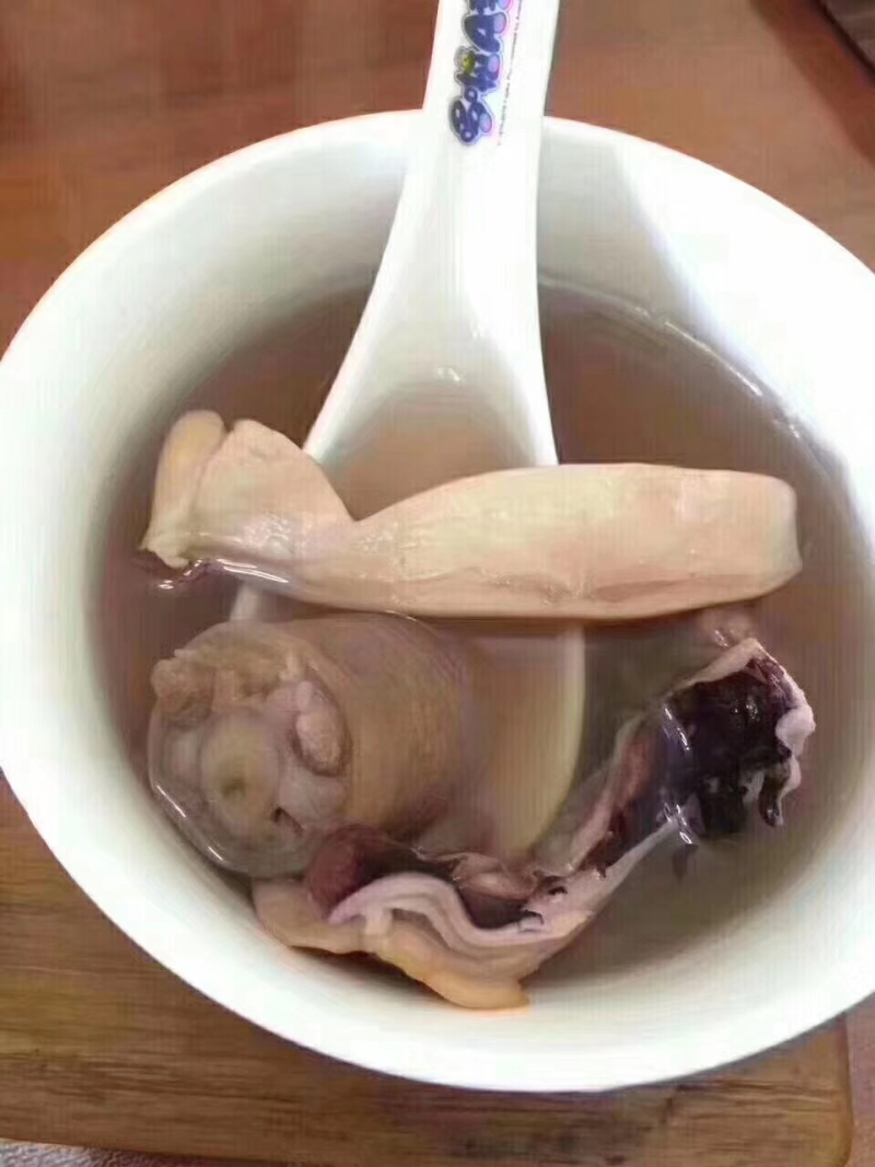 超大鱿鱼母
