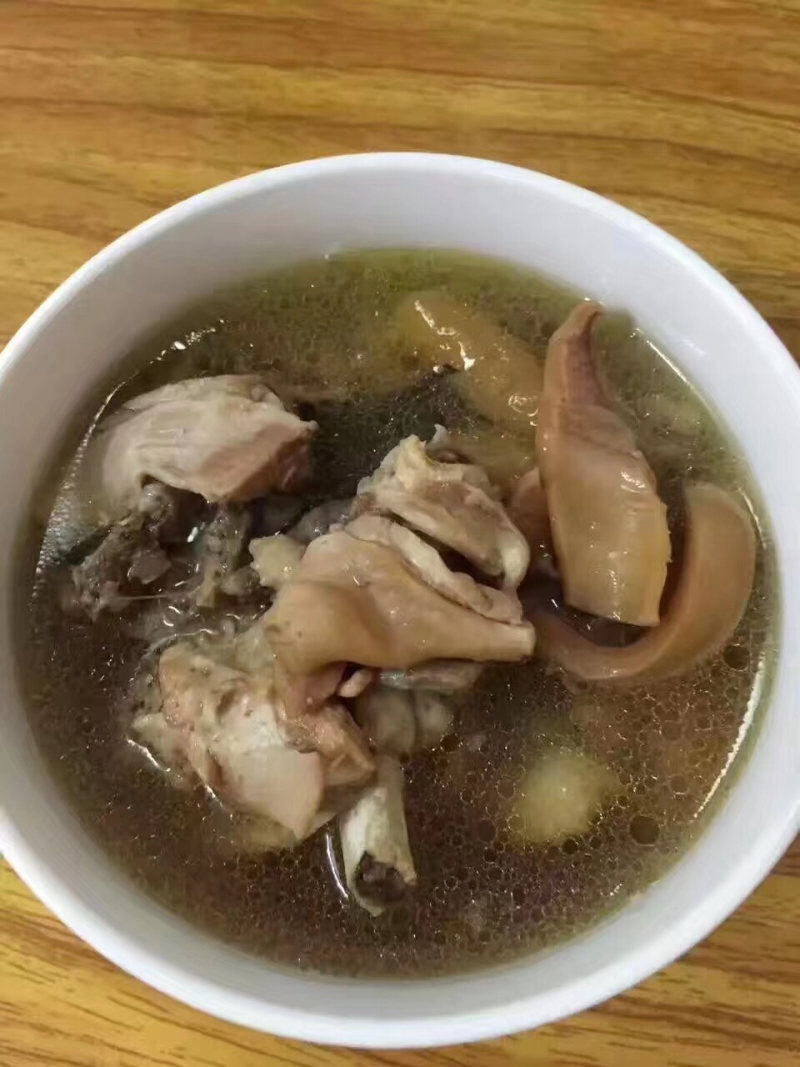 超大鱿鱼母